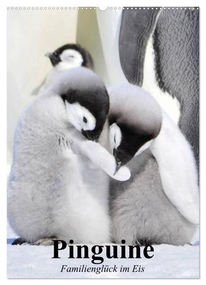 Pinguine. Familienglück im Eis (Wandkalender 2024 DIN A2 hoch), CALVENDO Monatskalender von Stanzer,  Elisabeth