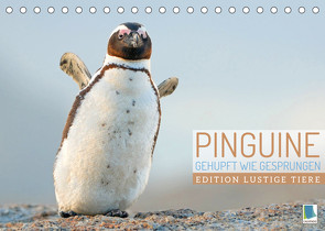 Pinguine: Gehupft wie gesprungen – Edition lustige Tiere (Tischkalender 2022 DIN A5 quer) von CALVENDO