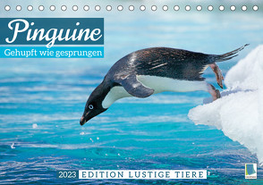 Pinguine: Gehupft wie gesprungen – Edition lustige Tiere (Tischkalender 2023 DIN A5 quer) von CALVENDO