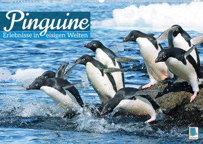 Pinguine: Gehupft wie gesprungen – Edition lustige Tiere (Wandkalender 2022 DIN A2 quer) von CALVENDO