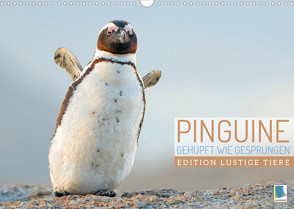 Pinguine: Gehupft wie gesprungen – Edition lustige Tiere (Wandkalender 2022 DIN A3 quer) von CALVENDO