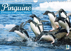 Pinguine: Gehupft wie gesprungen – Edition lustige Tiere (Wandkalender 2022 DIN A4 quer) von CALVENDO