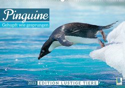 Pinguine: Gehupft wie gesprungen – Edition lustige Tiere (Wandkalender 2023 DIN A2 quer) von CALVENDO