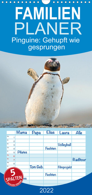 Familienplaner Pinguine: Gehupft wie gesprungen (Wandkalender 2022 , 21 cm x 45 cm, hoch) von CALVENDO