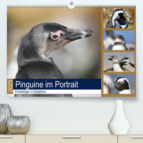 Pinguine im Portrait – Frackträger in Südafrika (Premium, hochwertiger DIN A2 Wandkalender 2023, Kunstdruck in Hochglanz) von und Yvonne Herzog,  Michael