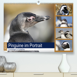 Pinguine im Portrait – Frackträger in Südafrika (Premium, hochwertiger DIN A2 Wandkalender 2020, Kunstdruck in Hochglanz) von und Yvonne Herzog,  Michael