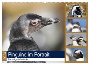 Pinguine im Portrait – Frackträger in Südafrika (Wandkalender 2024 DIN A2 quer), CALVENDO Monatskalender von und Yvonne Herzog,  Michael