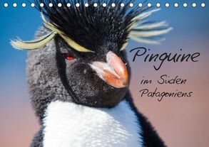 Pinguine im Süden Patagoniens (Tischkalender 2019 DIN A5 quer) von Reuke,  Sabine