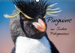 Pinguine im Süden Patagoniens (Wandkalender 2018 DIN A3 quer) von Reuke,  Sabine