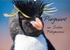 Pinguine im Süden Patagoniens (Wandkalender 2019 DIN A2 quer) von Reuke,  Sabine