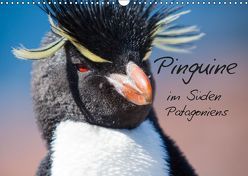 Pinguine im Süden Patagoniens (Wandkalender 2019 DIN A3 quer) von Reuke,  Sabine