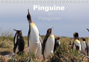 Pinguine in Patagonien (Tischkalender 2021 DIN A5 quer) von Göb,  Clemens, Köhler,  Ute