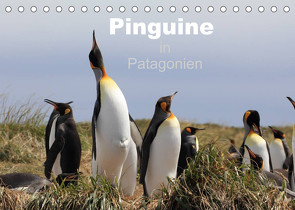 Pinguine in Patagonien (Tischkalender 2022 DIN A5 quer) von Göb,  Clemens, Köhler,  Ute