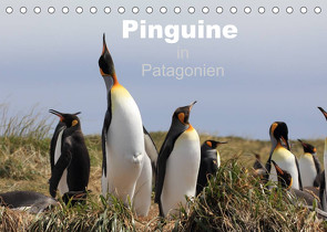 Pinguine in Patagonien (Tischkalender 2023 DIN A5 quer) von Göb,  Clemens, Köhler,  Ute