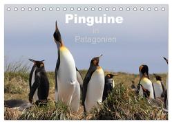 Pinguine in Patagonien (Tischkalender 2024 DIN A5 quer), CALVENDO Monatskalender von Köhler,  Clemens Göb,  Ute