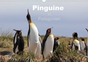 Pinguine in Patagonien (Wandkalender 2022 DIN A3 quer) von Göb,  Clemens, Köhler,  Ute