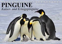 Pinguine – Kaiser- und Königspinguine (Tischkalender 2023 DIN A5 quer) von Stanzer,  Elisabeth