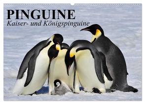 Pinguine – Kaiser- und Königspinguine (Wandkalender 2024 DIN A2 quer), CALVENDO Monatskalender von Stanzer,  Elisabeth