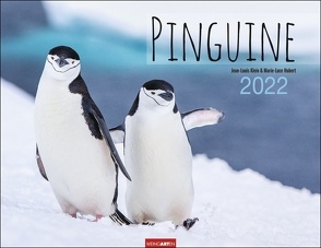 Pinguine Kalender 2022 von Hubert,  Marie-Luce, Klein,  Jean-Louis, Weingarten