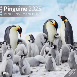 Pinguine Kalender 2023 – 30×30