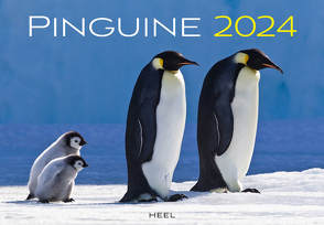 Pinguine Kalender 2024