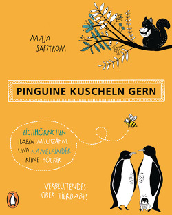 Pinguine kuscheln gern, Eichhörnchen haben Milchzähne und Kamelkinder keine Höcker von Säfström,  Maja, Willems,  Elvira