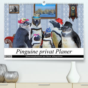 Pinguine privat Planer (Premium, hochwertiger DIN A2 Wandkalender 2023, Kunstdruck in Hochglanz) von glandarius,  Garrulus