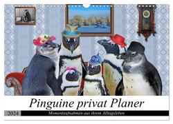 Pinguine privat Planer (Wandkalender 2024 DIN A3 quer), CALVENDO Monatskalender von glandarius,  Garrulus
