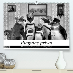 Pinguine privat (Premium, hochwertiger DIN A2 Wandkalender 2021, Kunstdruck in Hochglanz) von glandarius,  Garrulus