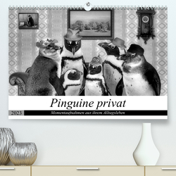 Pinguine privat (Premium, hochwertiger DIN A2 Wandkalender 2023, Kunstdruck in Hochglanz) von glandarius,  Garrulus