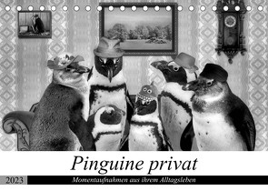Pinguine privat (Tischkalender 2023 DIN A5 quer) von glandarius,  Garrulus