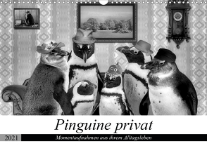 Pinguine privat (Wandkalender 2021 DIN A3 quer) von glandarius,  Garrulus