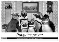 Pinguine privat (Wandkalender 2024 DIN A2 quer), CALVENDO Monatskalender von glandarius,  Garrulus