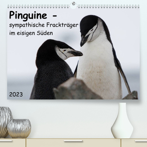 Pinguine – sympathische Frackträger im eisigen Süden (Premium, hochwertiger DIN A2 Wandkalender 2023, Kunstdruck in Hochglanz) von Utelli,  Anna-Barbara