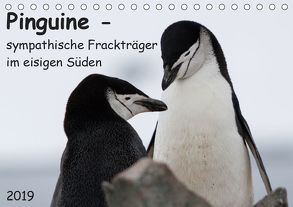 Pinguine – sympathische Frackträger im eisigen Süden (Tischkalender 2019 DIN A5 quer) von Utelli,  Anna-Barbara