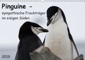 Pinguine – sympathische Frackträger im eisigen Süden (Wandkalender 2019 DIN A3 quer) von Utelli,  Anna-Barbara