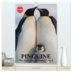 Pinguine. Wackeln im Thermo-Frack (hochwertiger Premium Wandkalender 2024 DIN A2 hoch), Kunstdruck in Hochglanz von Stanzer,  Elisabeth