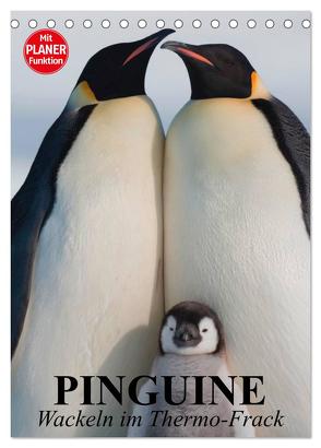 Pinguine. Wackeln im Thermo-Frack (Tischkalender 2024 DIN A5 hoch), CALVENDO Monatskalender von Stanzer,  Elisabeth