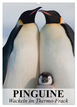 Pinguine – Wackeln im Thermo-Frack (Wandkalender 2024 DIN A2 hoch), CALVENDO Monatskalender von Stanzer,  Elisabeth