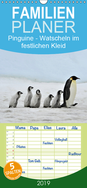 Pinguine – Watscheln im festlichen Kleid – Familienplaner hoch (Wandkalender 2019 , 21 cm x 45 cm, hoch) von Stanzer,  Elisabeth