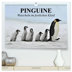 Pinguine – Watscheln im festlichen Kleid (hochwertiger Premium Wandkalender 2024 DIN A2 quer), Kunstdruck in Hochglanz von Stanzer,  Elisabeth
