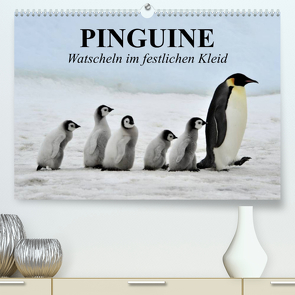 Pinguine – Watscheln im festlichen Kleid (Premium, hochwertiger DIN A2 Wandkalender 2023, Kunstdruck in Hochglanz) von Stanzer,  Elisabeth