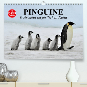 Pinguine – Watscheln im festlichen Kleid (Premium, hochwertiger DIN A2 Wandkalender 2023, Kunstdruck in Hochglanz) von Stanzer,  Elisabeth