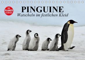 Pinguine – Watscheln im festlichen Kleid (Tischkalender 2019 DIN A5 quer) von Stanzer,  Elisabeth
