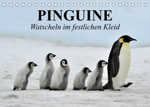 Pinguine – Watscheln im festlichen Kleid (Tischkalender 2023 DIN A5 quer) von Stanzer,  Elisabeth