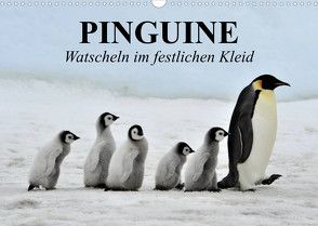Pinguine – Watscheln im festlichen Kleid (Wandkalender 2023 DIN A3 quer) von Stanzer,  Elisabeth