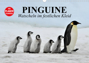 Pinguine – Watscheln im festlichen Kleid (Wandkalender 2023 DIN A3 quer) von Stanzer,  Elisabeth