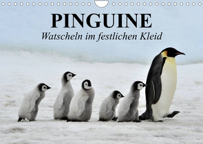 Pinguine – Watscheln im festlichen Kleid (Wandkalender 2023 DIN A4 quer) von Stanzer,  Elisabeth