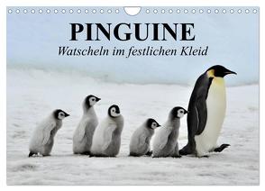 Pinguine – Watscheln im festlichen Kleid (Wandkalender 2024 DIN A4 quer), CALVENDO Monatskalender von Stanzer,  Elisabeth