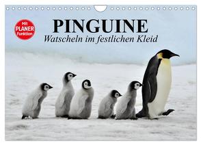 Pinguine – Watscheln im festlichen Kleid (Wandkalender 2024 DIN A4 quer), CALVENDO Monatskalender von Stanzer,  Elisabeth